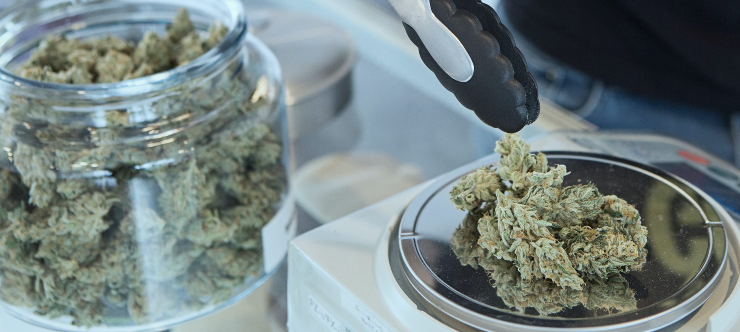 Das Foto zeigt ein Glas mit Cannabis-Blüten und eine Waage