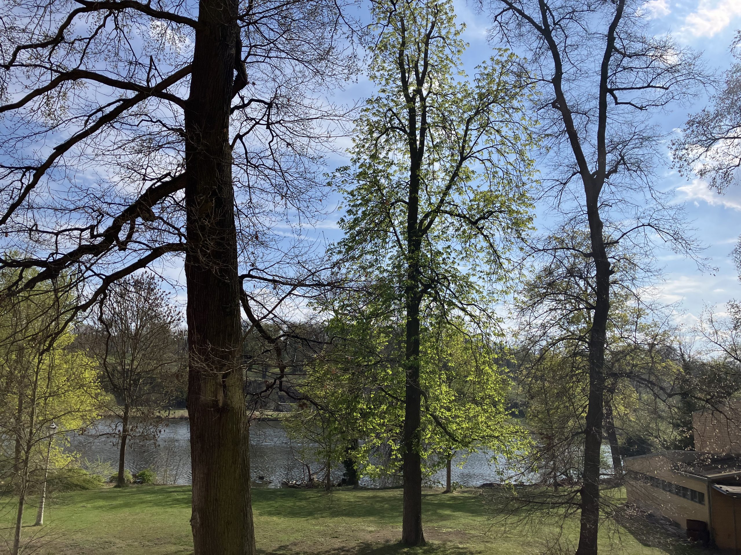 Foto des Ausblicks aus einem Fenster am Tagungsort